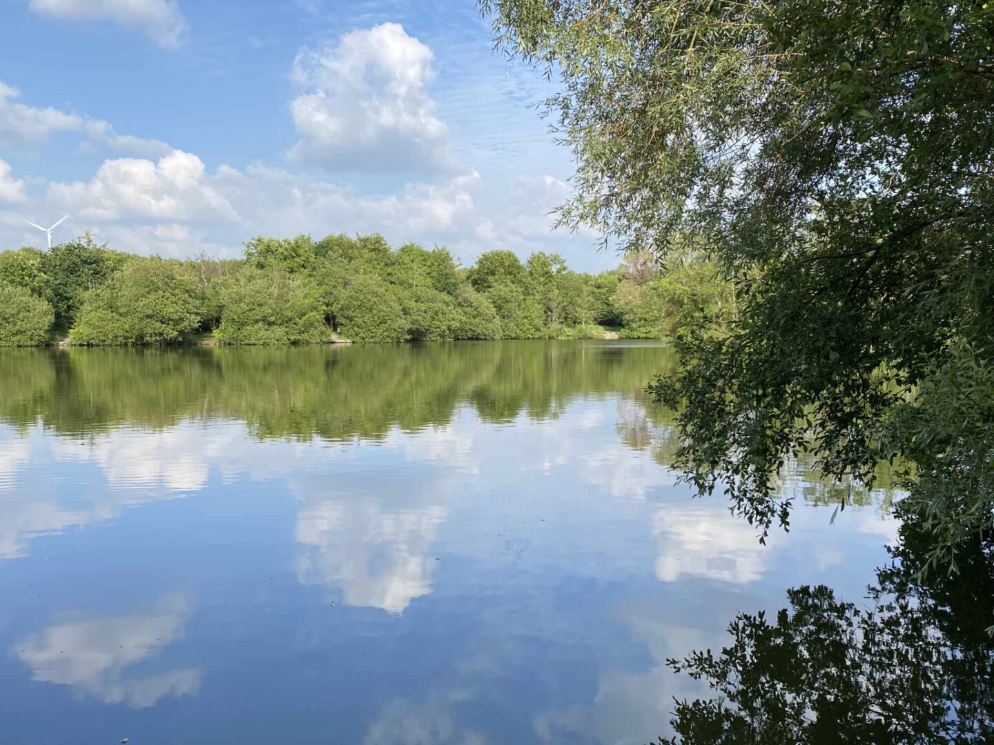 A view of Oakside Fishery